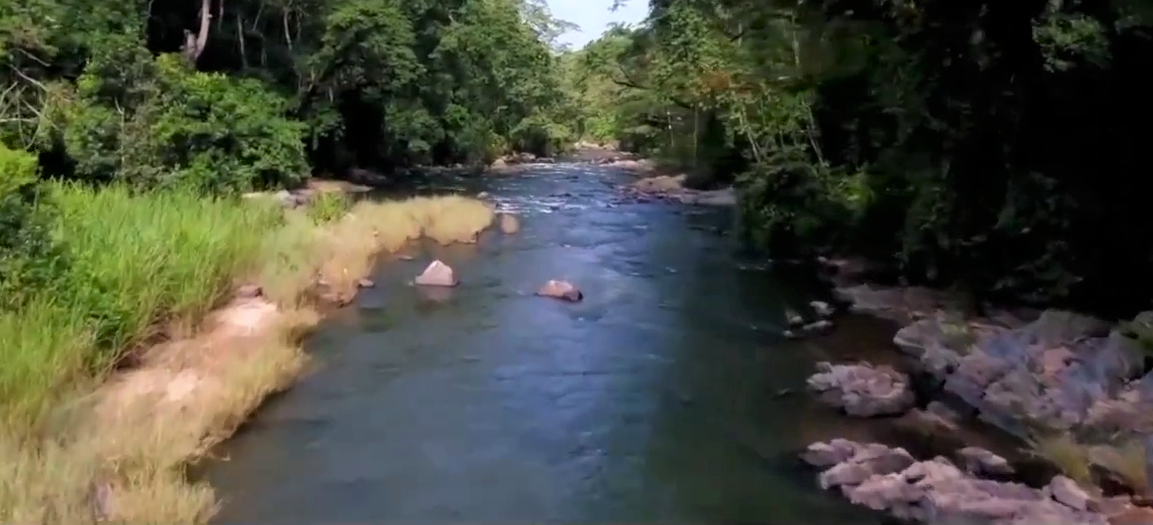 Gashaka gumti national park Nigeria state